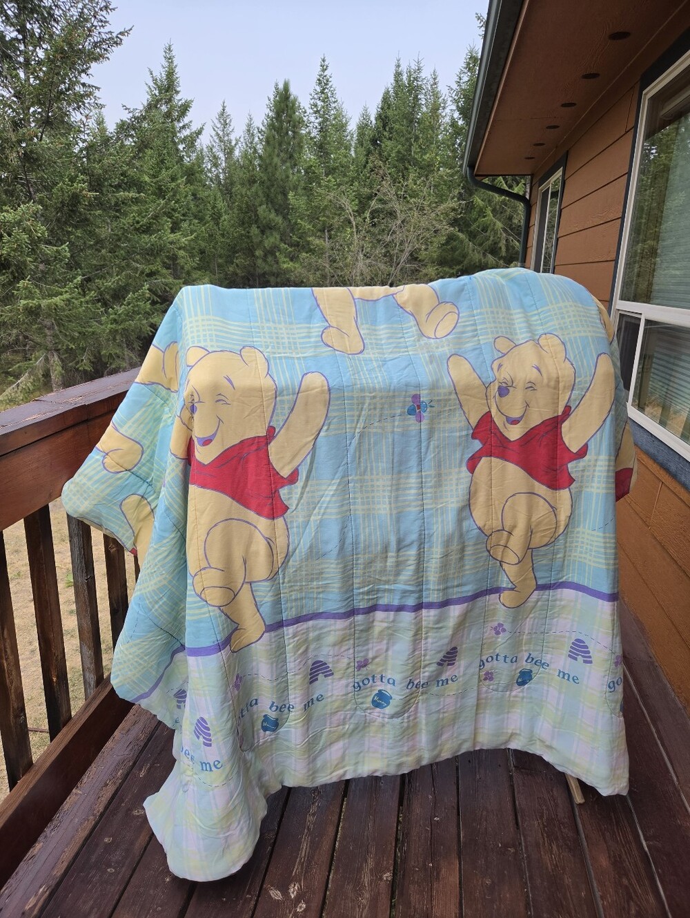 Vintage Y2K Pooh Bear Twin Comforter